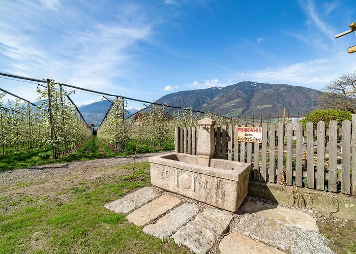 Rosa Unterschoeberlehof - Gloria Apartman Merano